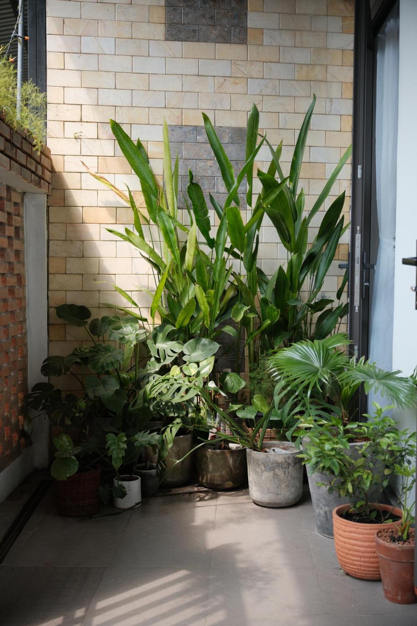 Glory Hue Homestay Экстерьер фото