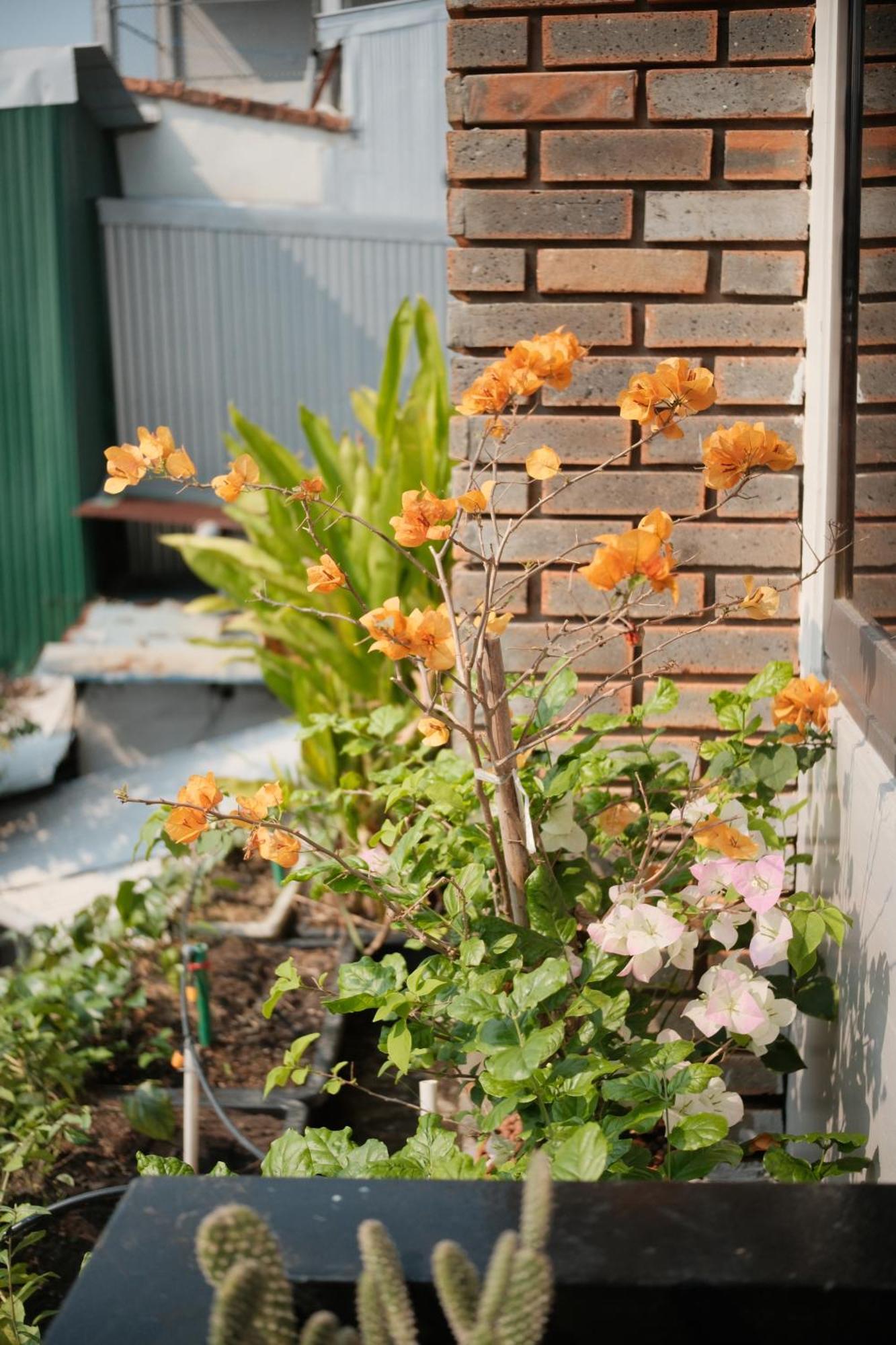 Glory Hue Homestay Экстерьер фото